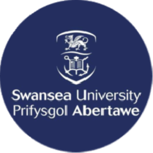 Swansea University